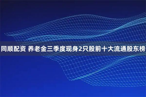 同顺配资 养老金三季度现身2只股前十大流通股东榜